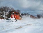 CN 5778 close-up